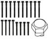 PAYEN HBS224 Bolt Kit, cylinder head